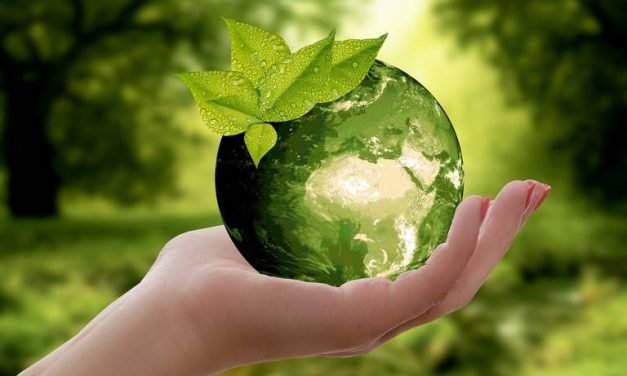 Biodegradable Packaging: Potential and Prospects