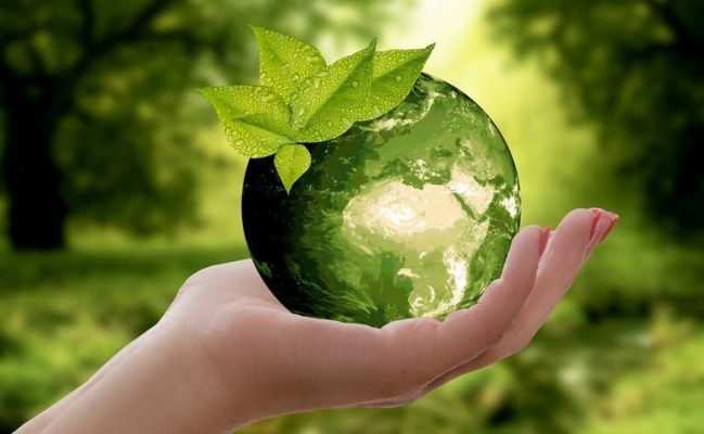 Biodegradable Packaging: Potential and Prospects