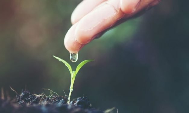 How Food and Beverage Industry can Help Conserve Water?