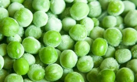 Technical and Technological Aspects of Food Freezing