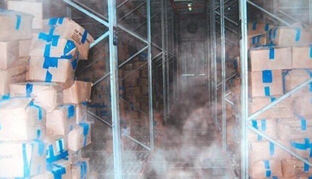 Physical and Biochemical Changes During Commercial Freezing Food and Frozen Storage