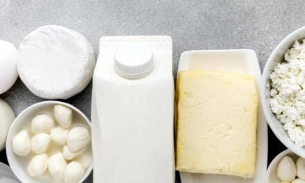 Role of Microbes and Exopolysaccharides in Fermented Dairy Products