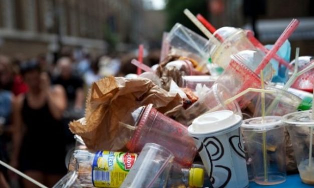 Impact of Ban on Single use Plastic on Food Processing Industry