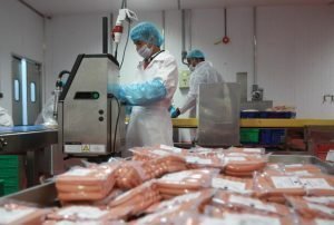 Powers of Food Safety Officers and Rights of FBOs Under FSSAI Act 1 food safety officer inspection