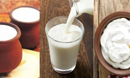 Fermented Milk Products — Nature’s Blessings
