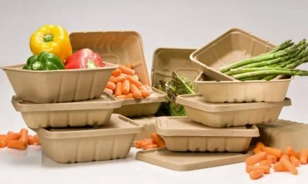Green Plastics the Game Changer in the Food Packaging