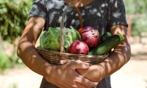 Five top trends in food and beverage consumption and consumer behaviour 2 Consumers interest in ethical sourcing
