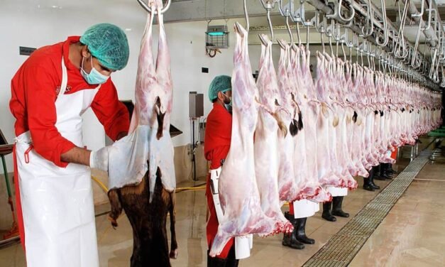 Modern Abattoir Practices and issues related to Animal Welfare, Meat Quality & Safety