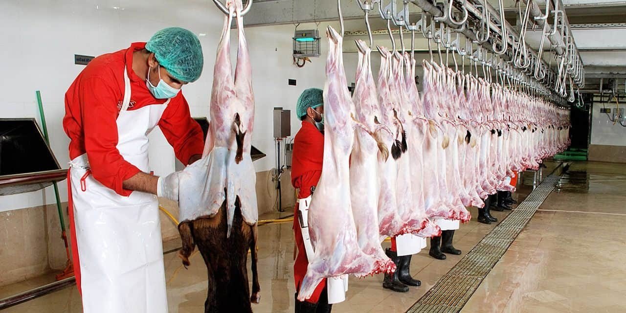 Modern Abattoir Practices and issues related to Animal Welfare, Meat Quality & Safety