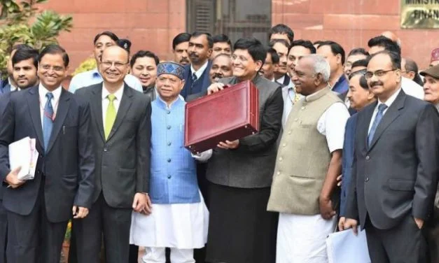 Interim Budget Reduced Tax Burden: Consumer Expenditure on Processed Food Products Likely to Go Up
