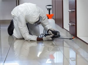 Importance of Pest Control for Food Business Operators-1 2 Pest Control for food processing and storage of food