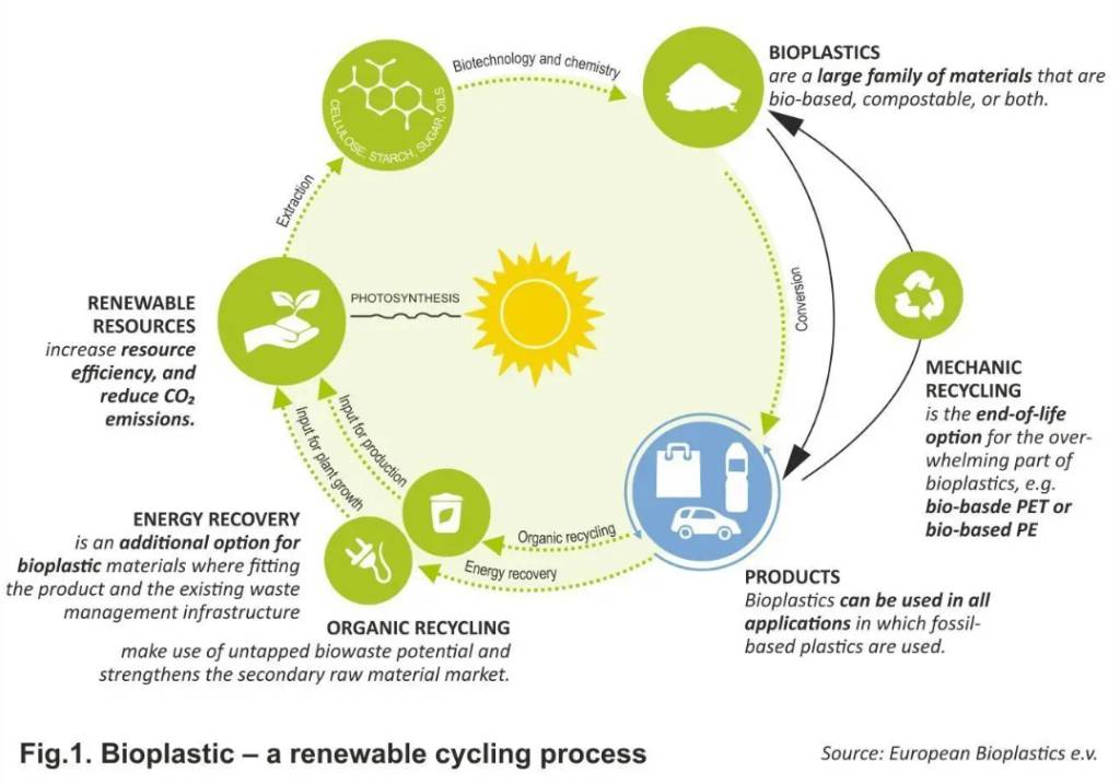 Green Plastics the Game Changer in the Food Packaging bioplastic a renewable cycing process