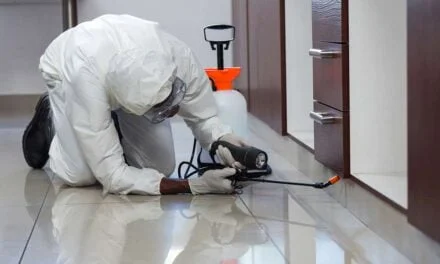 Importance of Pest Control for Food Business Operators-1
