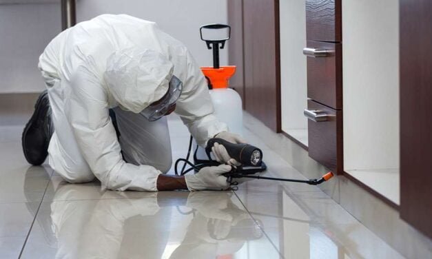 Importance of Pest Control for Food Business Operators-1