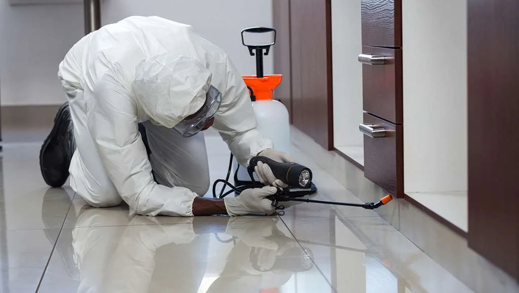 Importance of Pest Control for Food Business Operators-1