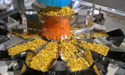 Food Processing Industry and Vision 2020 Targets and Objectives