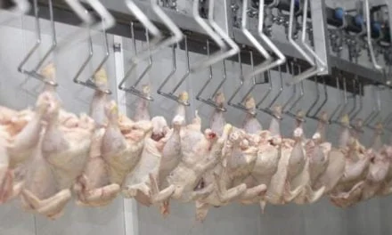 India’s Meat and Poultry Industry: Unlocking Potential Amid Challenges