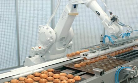 How Robots in Food Industry Can Improve Productivity