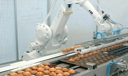 How Robots in Food Industry Can Improve Productivity