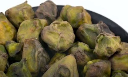 Water Chestnut Properties and its Products