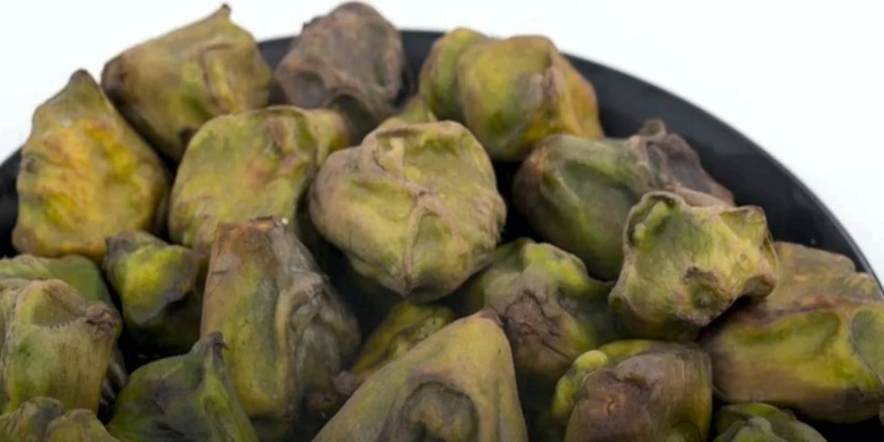 Water Chestnut Properties and its Products