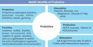 Probiotic Foods: A Way to Healthy Life Health benefits of probiotics