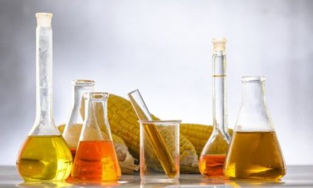 Application of Pullulanase Enzyme in Food Industry