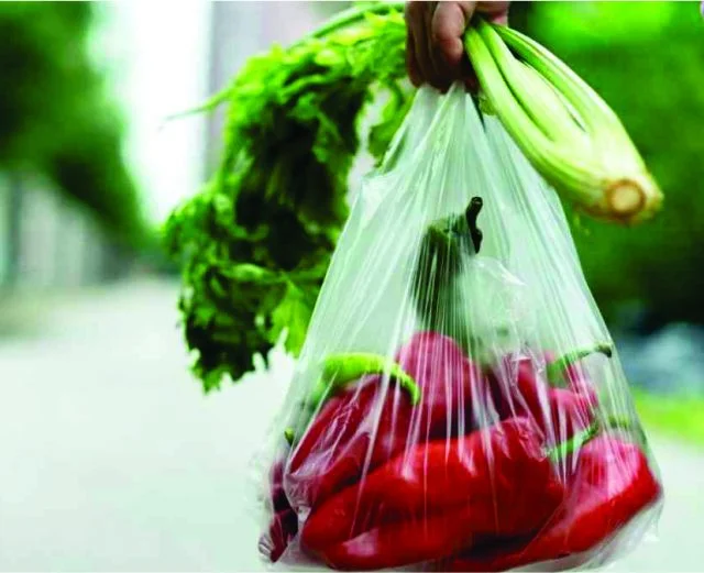 Plastic Banning an Approach Towards Plastic Food Packaging Waste Management