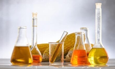 Application of Pullulanase Enzyme in Food Industry