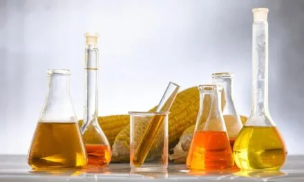 Application of Pullulanase Enzyme in Food Industry