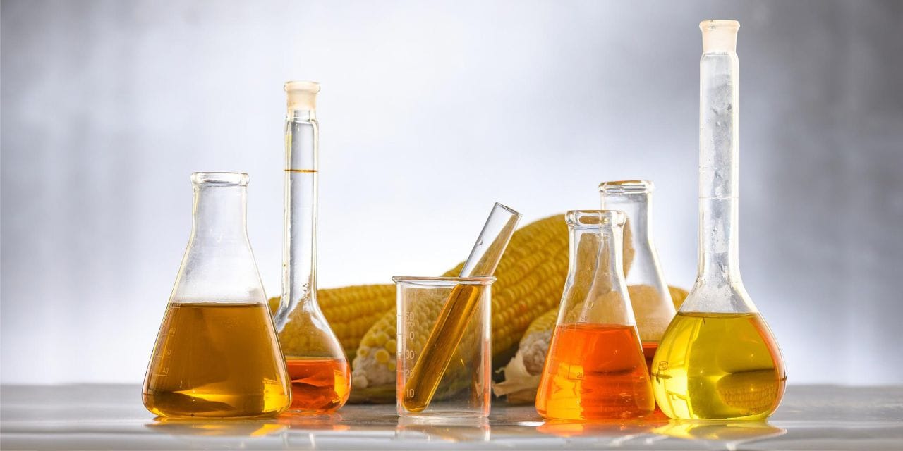 Application of Pullulanase Enzyme in Food Industry