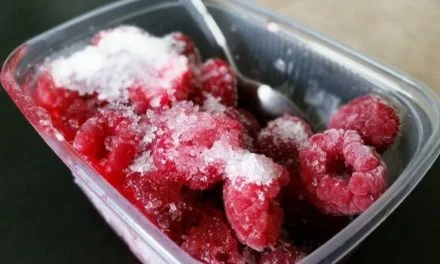 Importance of Commercial Freezing and Cold Chain in Food Production