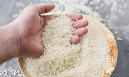 India and Saudi Arabia Quality Checks Agreement to Boost Indian Rice Export