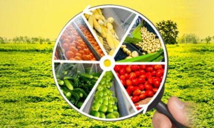 Agro Processing Centres for Durable Crops: An Economically Viable Venture-II