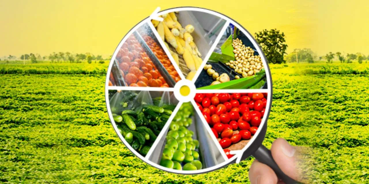 Agro Processing Centres for Durable Crops: An Economically Viable Venture-II