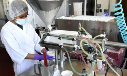 Festival Season Did Not Push Performance of Food Processors and Small Food Vendors