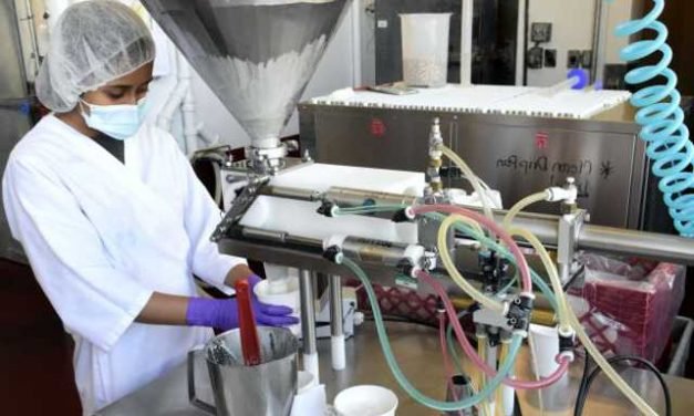 Festival Season Did Not Push Performance of Food Processors and Small Food Vendors