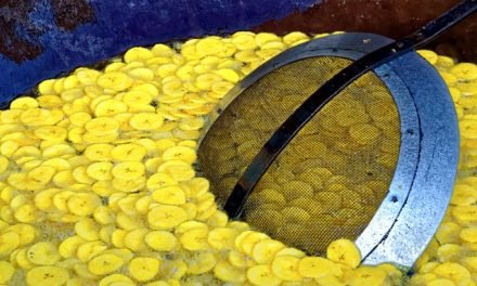 Used Cooking Oil to be Converted to Biodiesel
