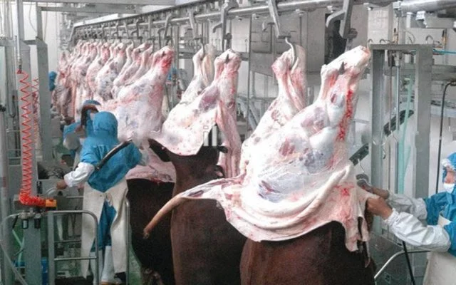 Indonesia bans Indian meat imports on Covid fear, India calls it safe