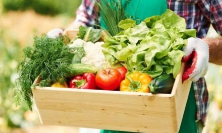Organic food products export up by 50% despite COVID-19 challenges