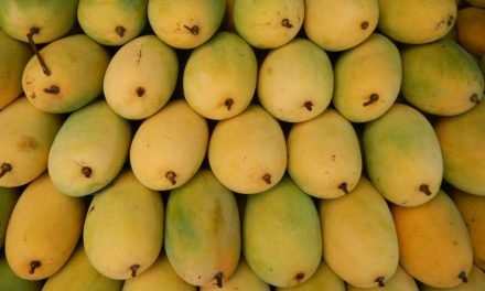 WayCool to sponsor research on photonic technology for fruit ripeness detection