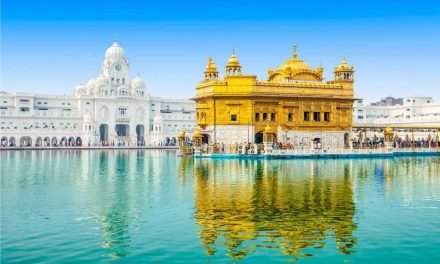 Punjab: Investment Environment & Opportunities in Food Processing