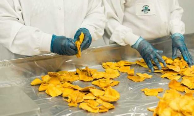 New Telangana Food Processing Policy Approved