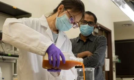 Egg-based protein coating preserves fresh produce