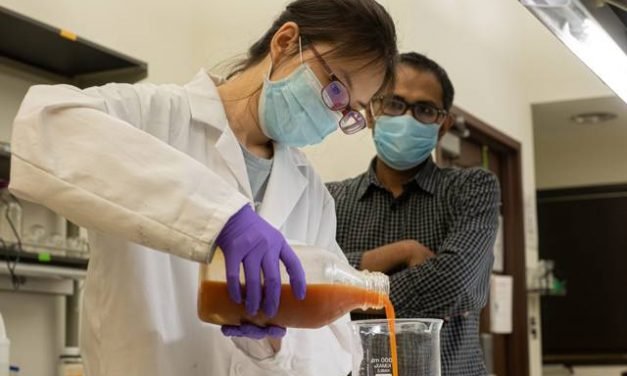Egg-based protein coating preserves fresh produce