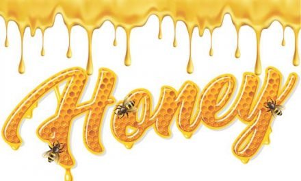 Honey — A Miracle Food