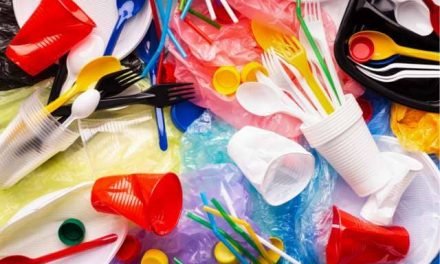 July 2022 will see ban on single-use plastic products