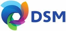 Top Food Colour Manufacturers and Companies DSM Dutch State Mines