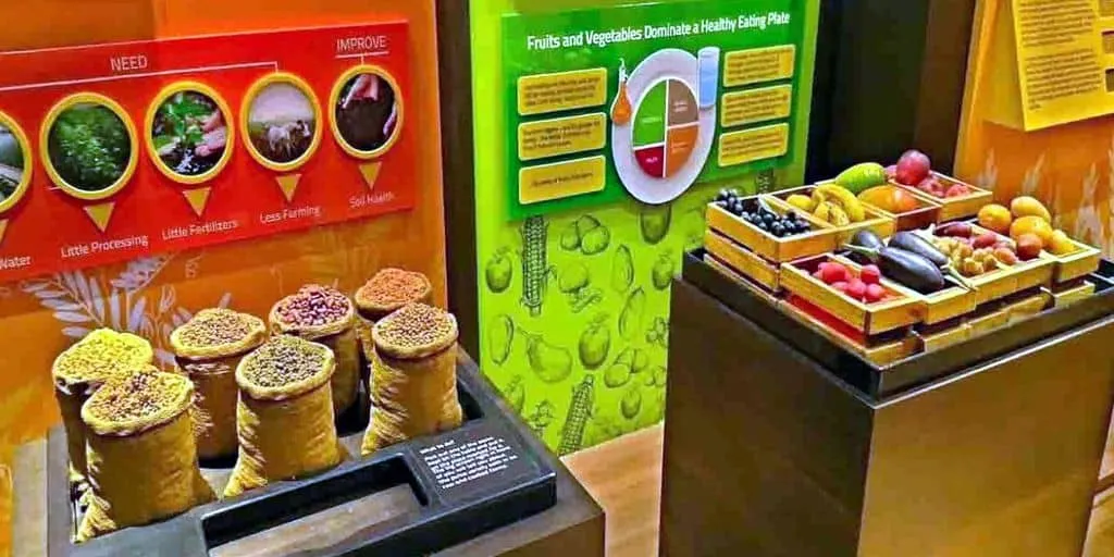 India’s First Food Museum Launched About India’s First Food Museum