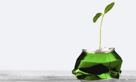 How Demand for Sustainability is Transforming Food Packaging